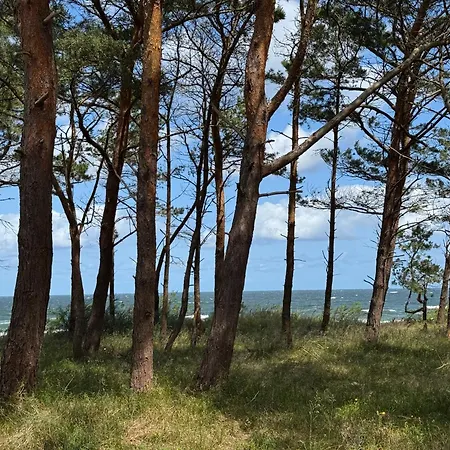 I Wydmy 아파트 미에드지보드지